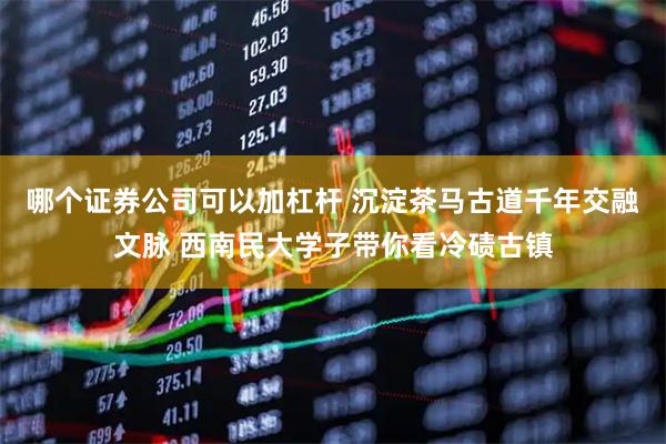 哪个证券公司可以加杠杆 沉淀茶马古道千年交融文脉 西南民大学子带你看冷碛古镇